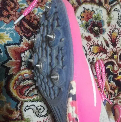 کفش میخی|کیف، کفش، کمربند|اردبیل, |دیوار