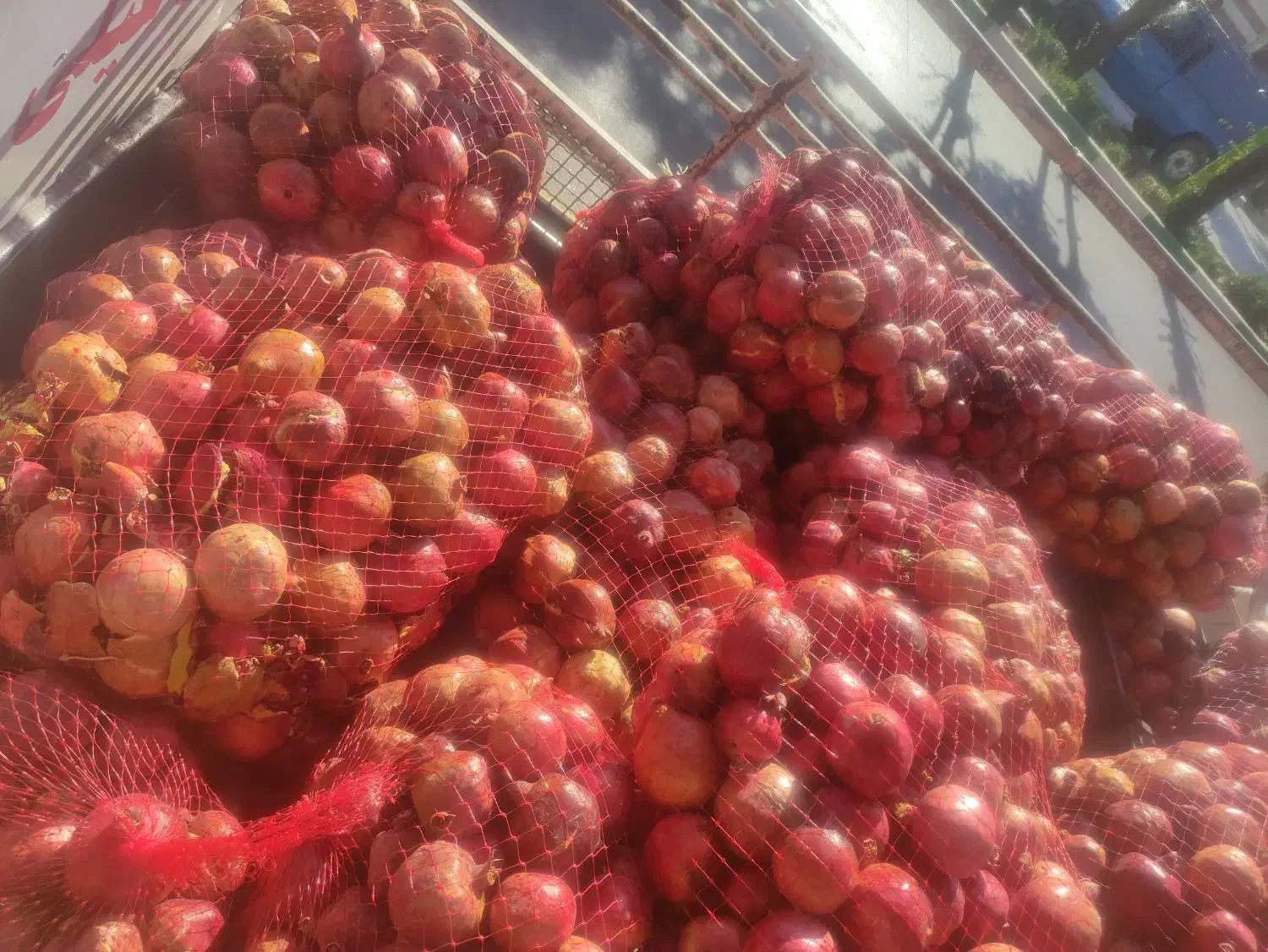 انار ربی وابگیری|خوردنی و آشامیدنی|لردگان, |دیوار