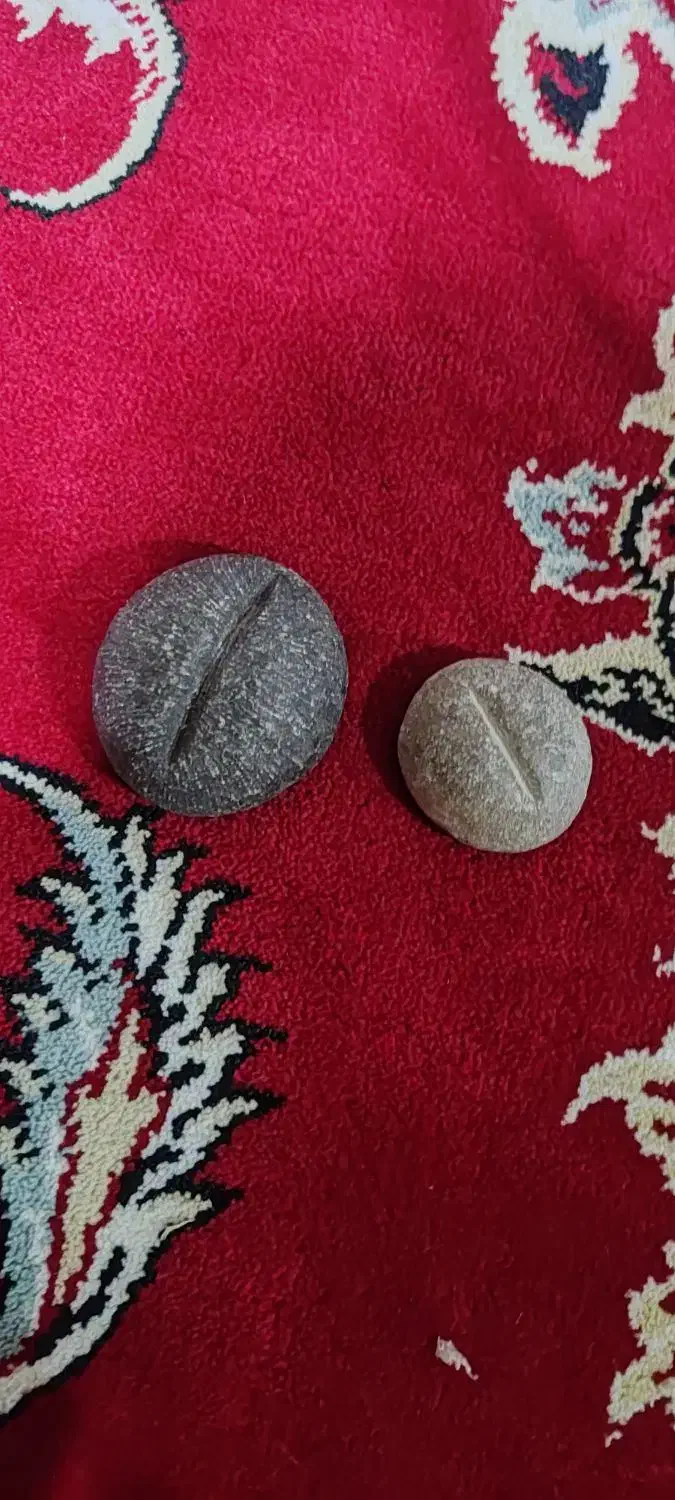 سنگ کم یاب|کلکسیون اشیاء عتیقه|بیستون, |دیوار