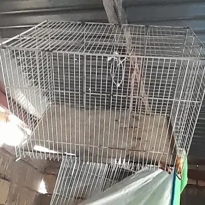 سه عدد قفس|لوازم جانبی حیوانات|مشهد, انصار|دیوار