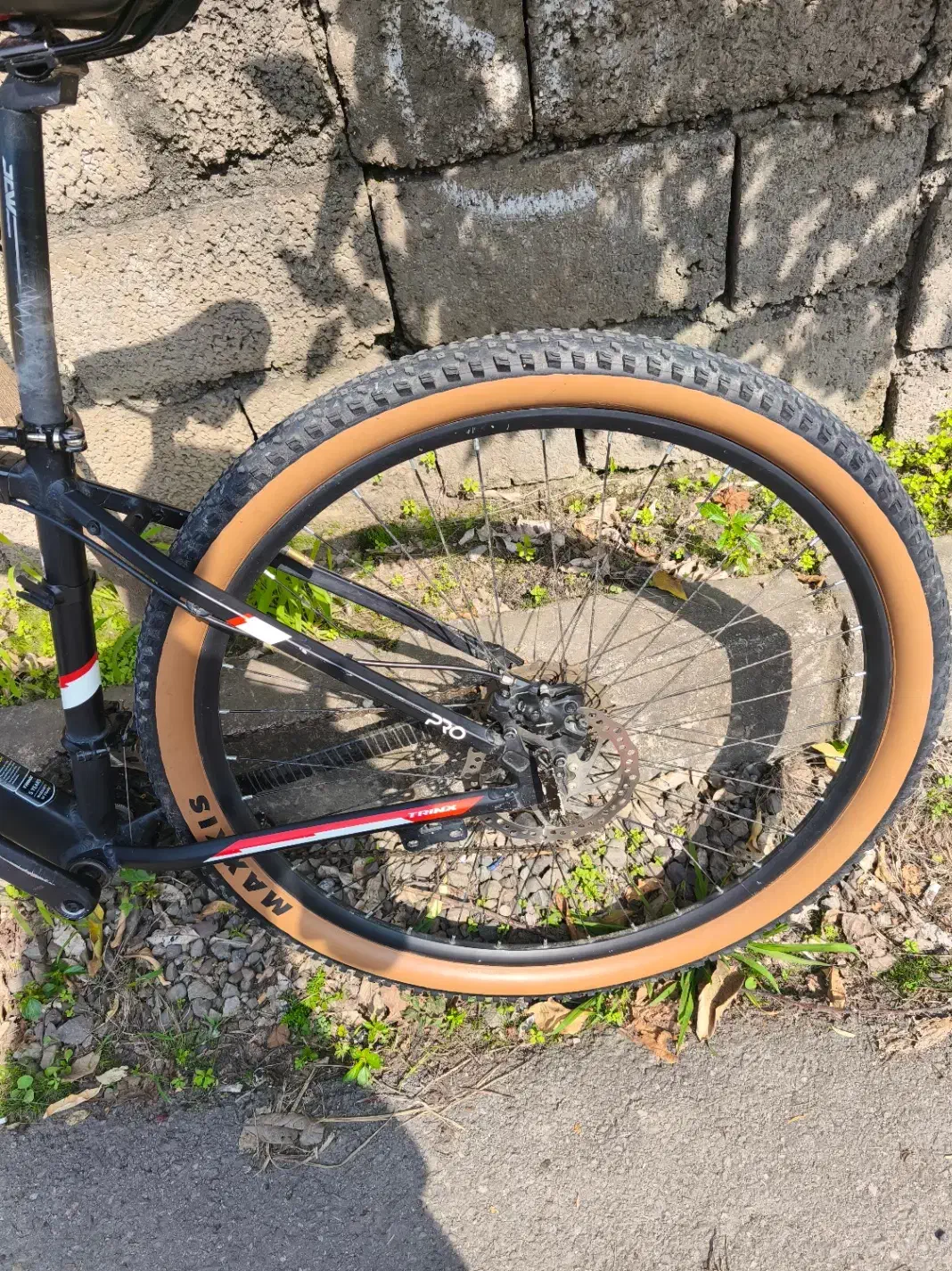 فروش دوچرخه|دوچرخه، اسکیت، اسکوتر|تنکابن, |دیوار