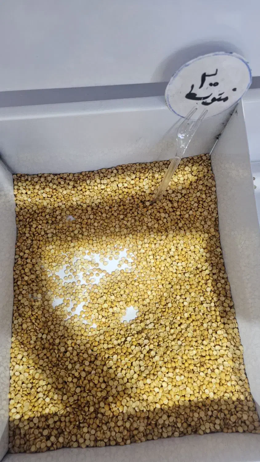 قفسه حبوباتی|کتابخانه، شلف، قفسههای دیواری|محمدشهر, محمدشهر|دیوار