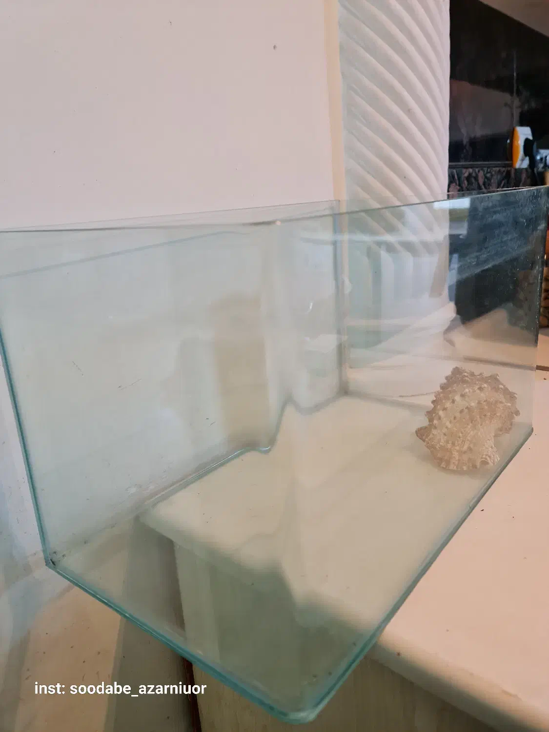 آکواریوم|ماهی|رشت, پیرسرا|دیوار