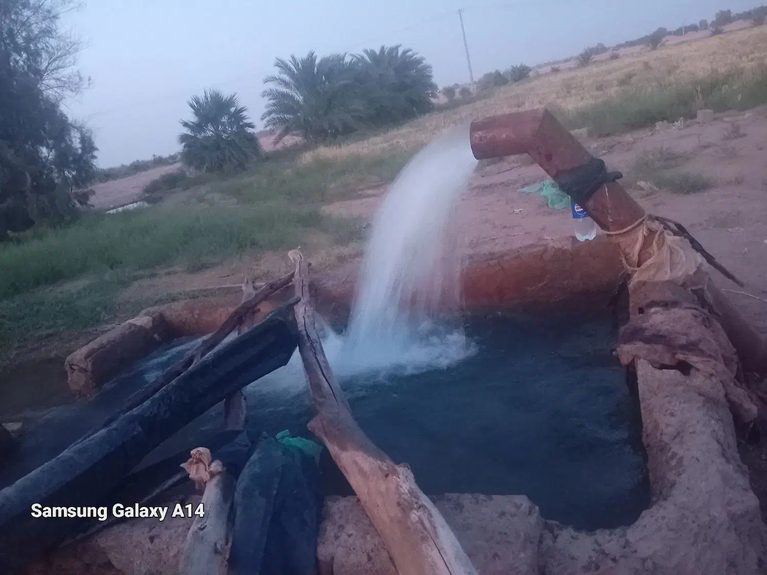 اجاره موتور برقی روبار فوری فوری|خدمات باغبانی و درختکاری|رودبار (کرمان), |دیوار