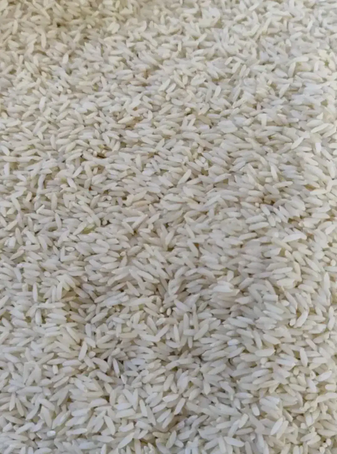 برنج دورود  در شهر مهاجران|عمده‌فروشی|مهاجران, |دیوار