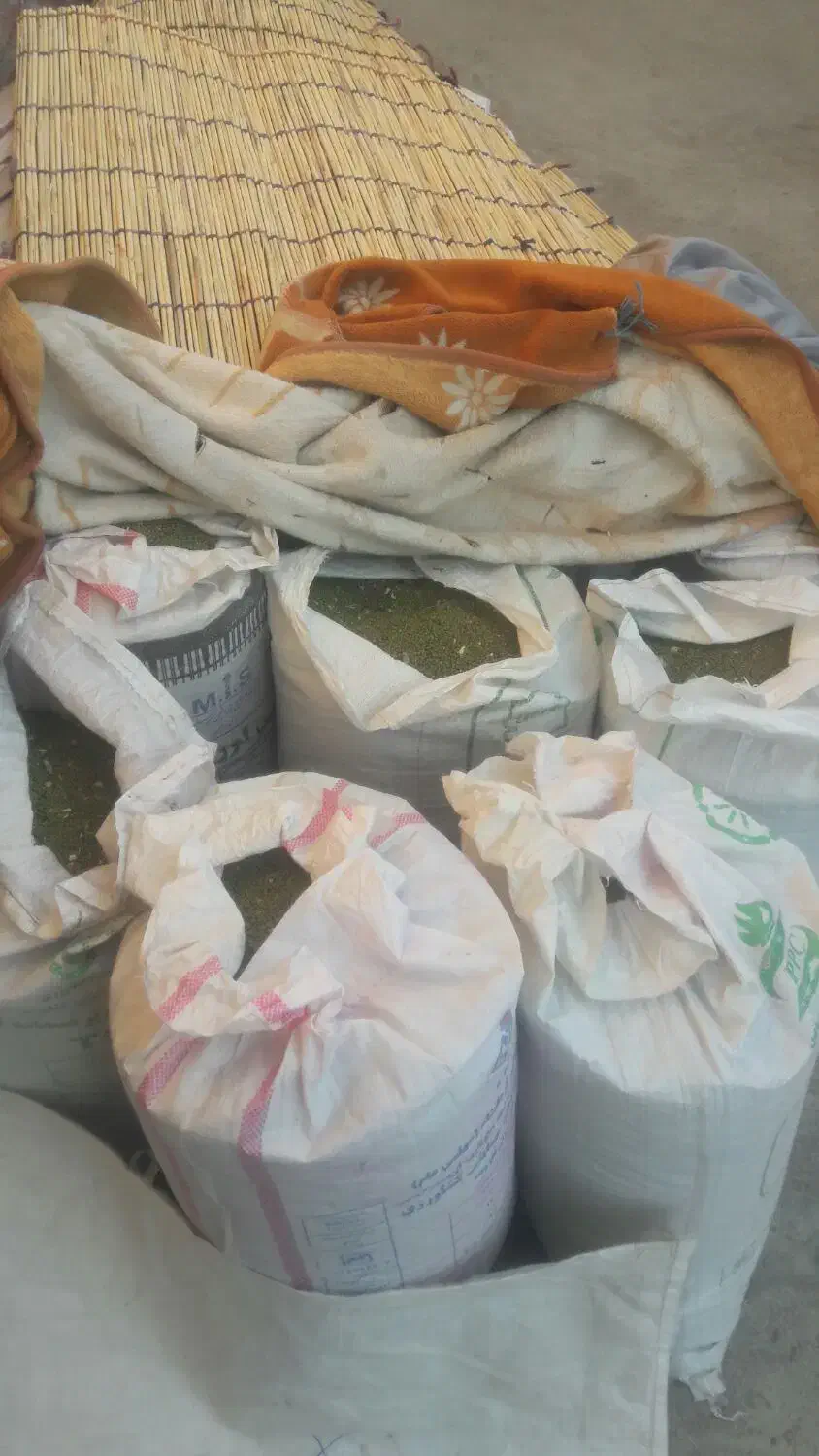 ماش عمرانی|عمده‌فروشی|دره شهر, |دیوار