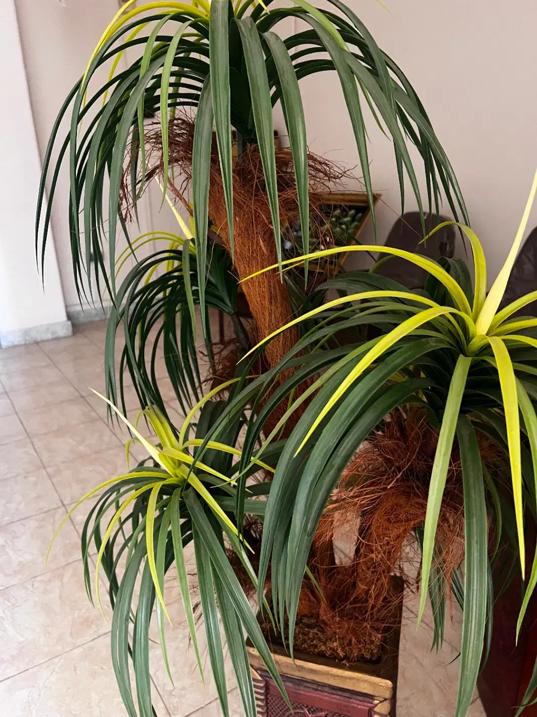 درختچه مصنوعی و گل|گل مصنوعی|بابل, |دیوار