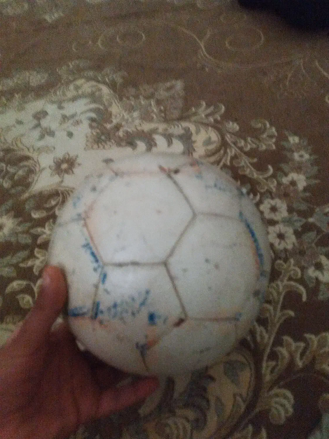 توپ در حد نو|ورزش‌های توپی|بندرعباس, |دیوار