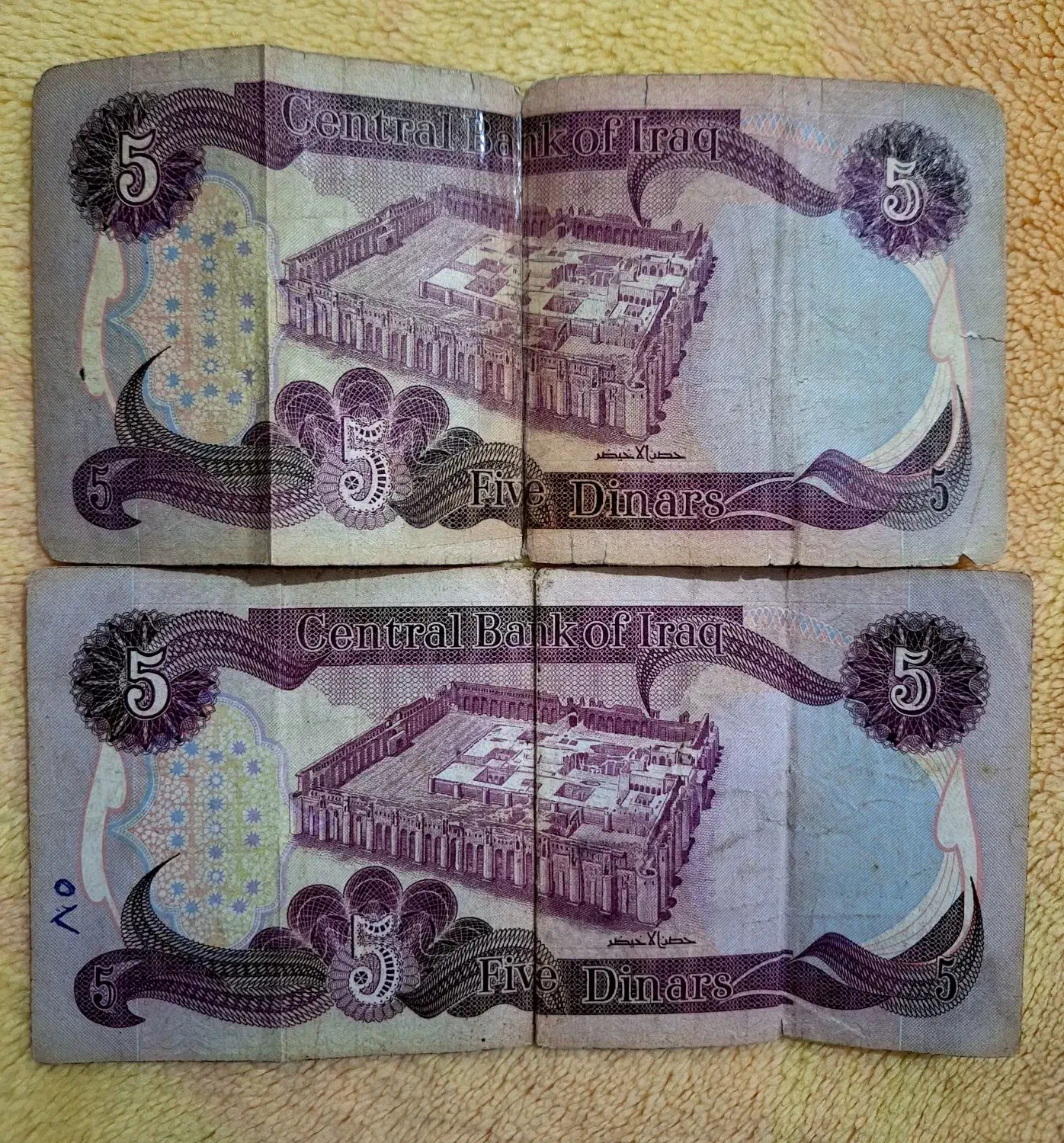 ۵دیناری عراقی قدیمی (۱۹۸۰ م)|کلکسیون سکه، تمبر، اسکناس|ارومیه, |دیوار