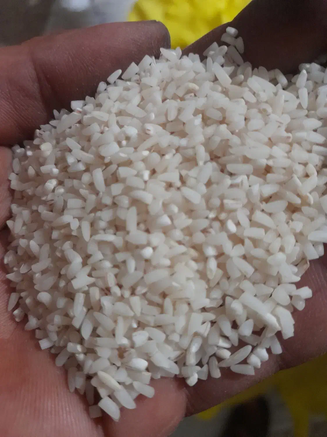 400کیلو برنج هاشمی|خوردنی و آشامیدنی|لنگرود, |دیوار
