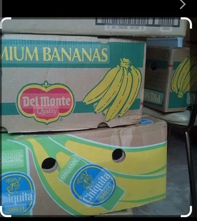 کارتن موزی|عمده‌فروشی|مهریز, |دیوار