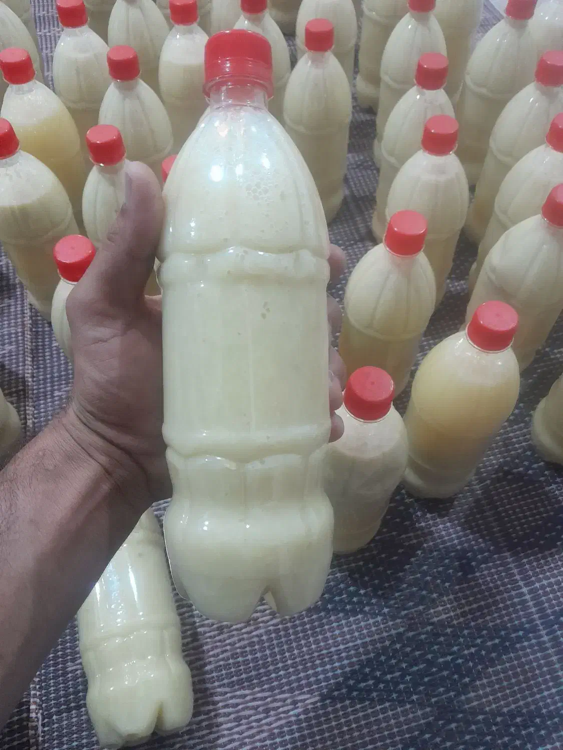 ابلیموصددرصد طبیعی از باغ شوشتر|خوردنی و آشامیدنی|اهواز, کوی فرهنگیان ۱|دیوار