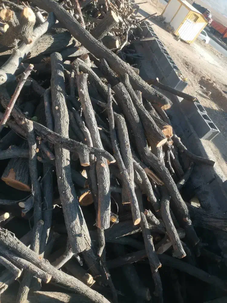 چوب سیب|خدمات باغبانی و درختکاری|اصفهان, باغ زرشک|دیوار