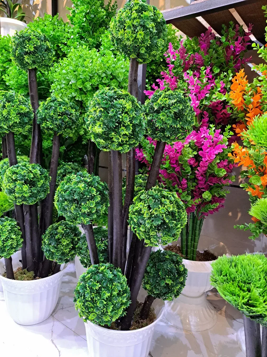 درختچه جاودان|گل مصنوعی|آفتاب, |دیوار