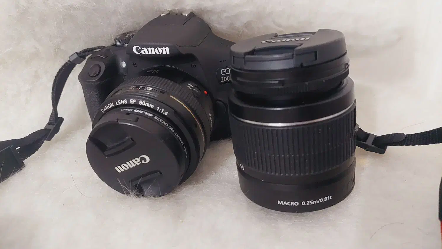 دوربین عکاسی|دوربین عکاسی و فیلم‌برداری|بهبهان, |دیوار