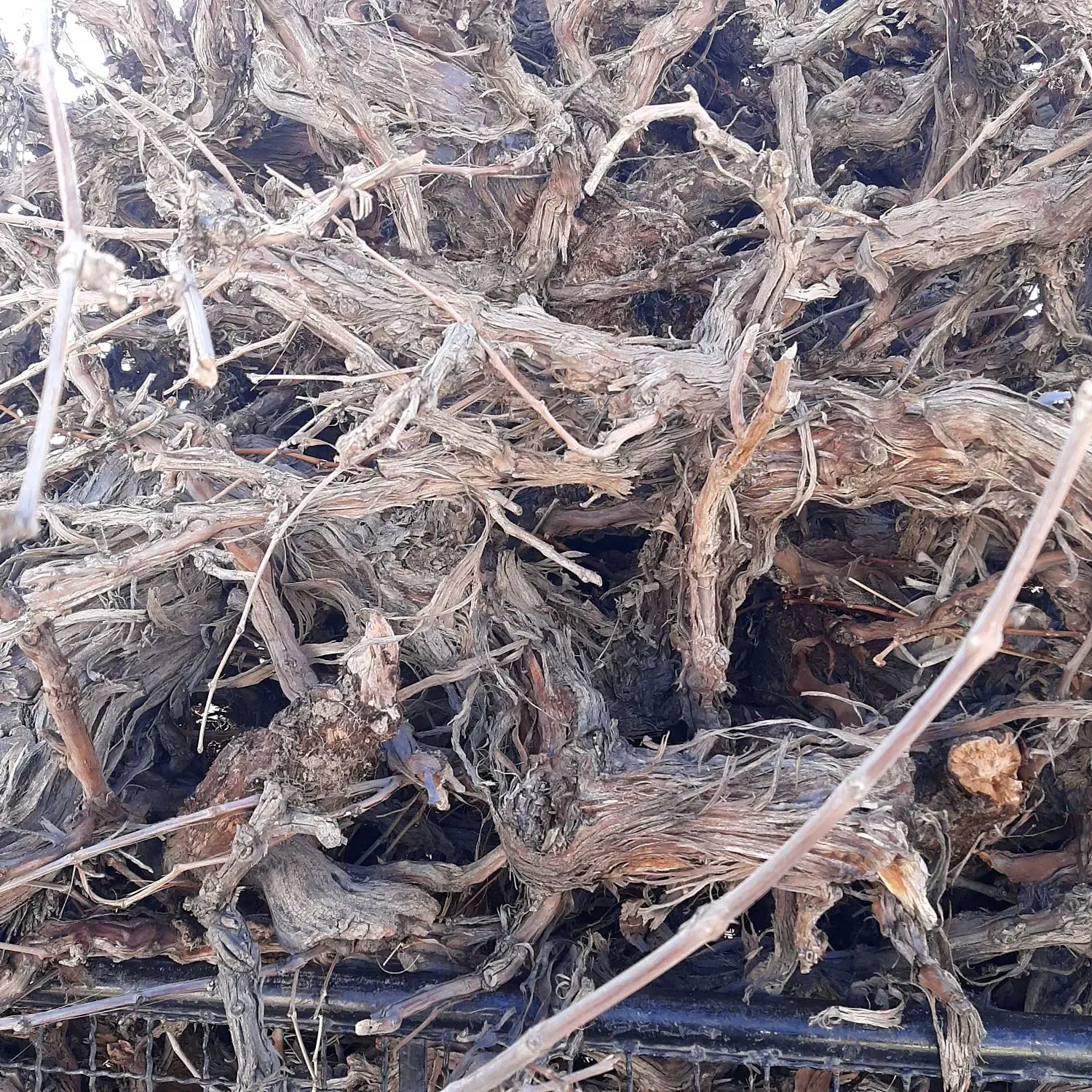 زغال کبابی درجه ۱ مستقیم از تولید کننده|عمده‌فروشی|رباط‌کریم, یقه|دیوار