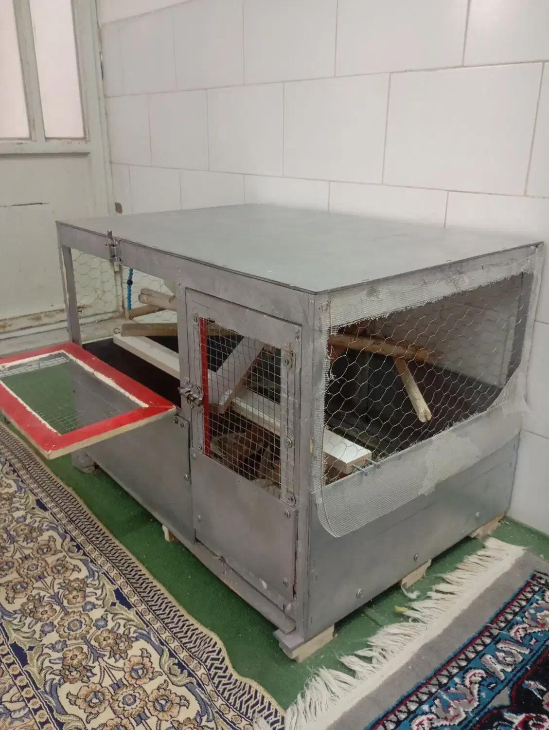 قفس پرنده|لوازم جانبی حیوانات|حمیدیا, |دیوار