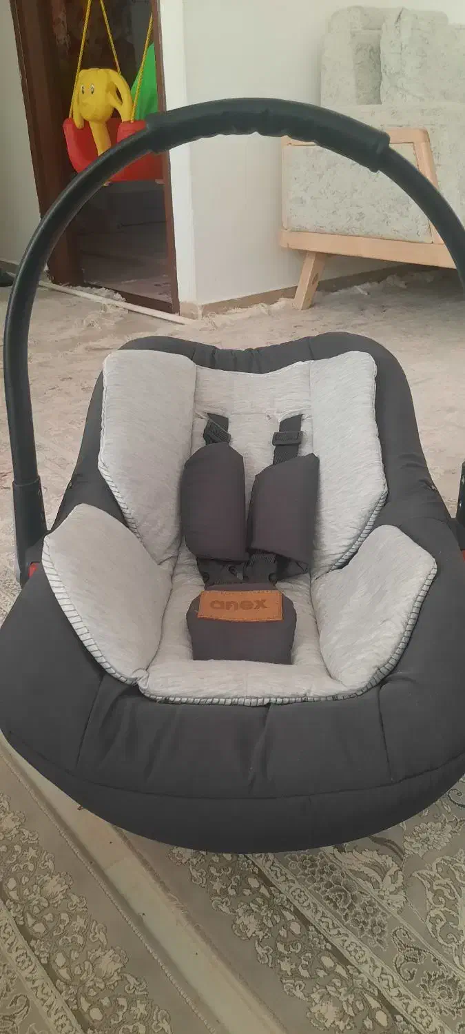 کریر نوی نو|کالسکه و لوازم جانبی|اسفراین, |دیوار