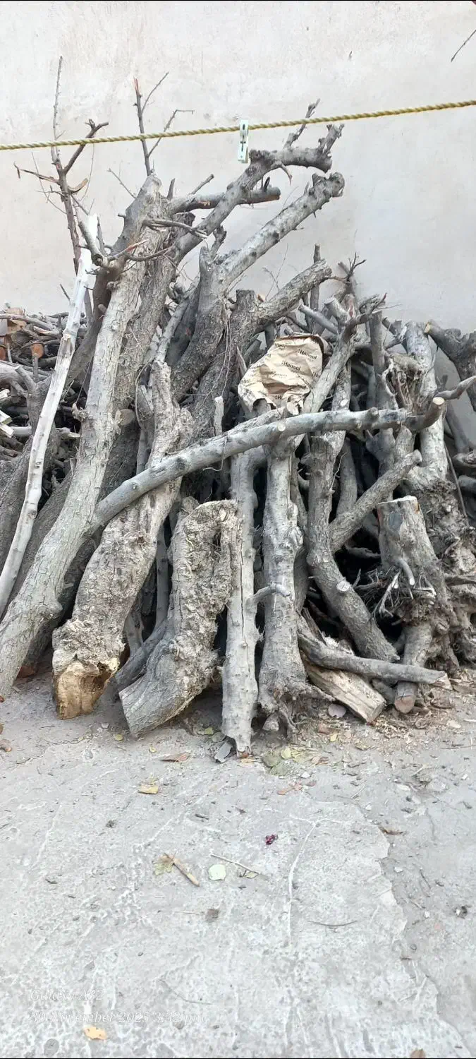 فروش چوب خشک|خدمات باغبانی و درختکاری|شهریار, رزکان|دیوار