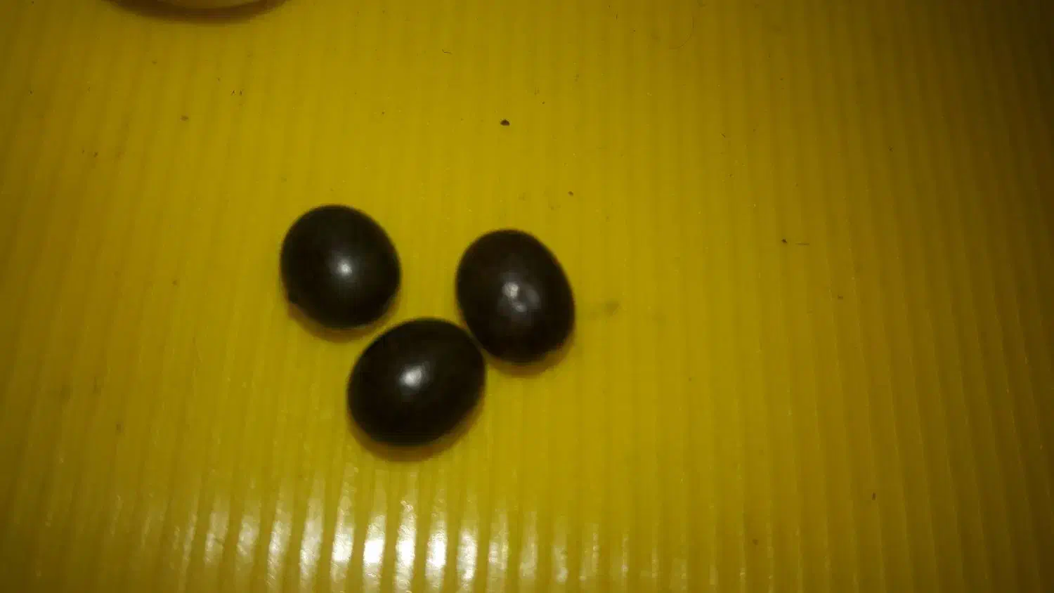 اشیای زیر خاکی|کلکسیون سکه، تمبر، اسکناس|تهران, تهرانپارس جنوبی|دیوار