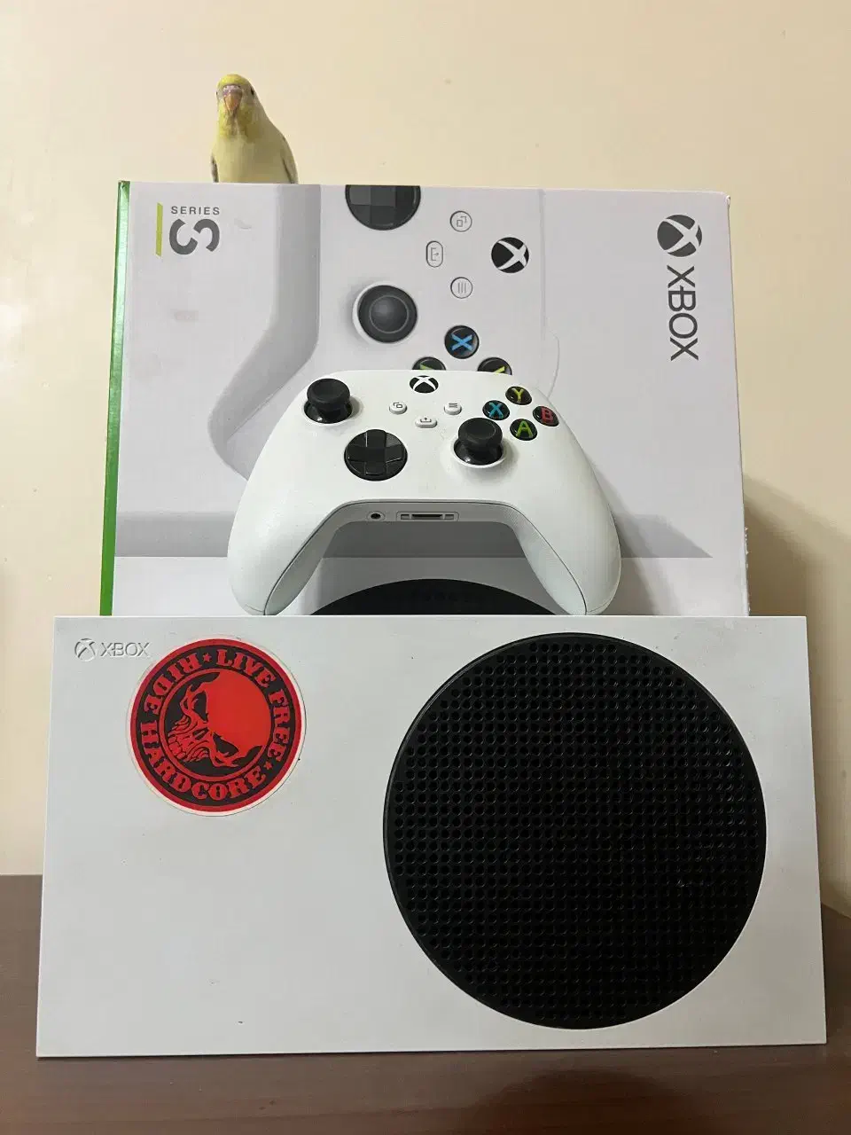 xbox seies s درحد نو قابل معاوضه‌ و تخفیف|کنسول، بازی ویدئویی و آنلاین|بوشهر, |دیوار
