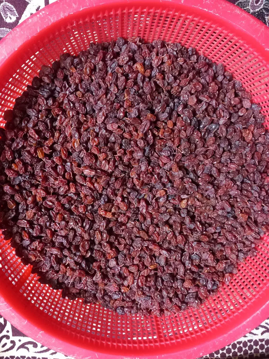 کشمش آفتابی خشک|خوردنی و آشامیدنی|قم, زند آباد|دیوار