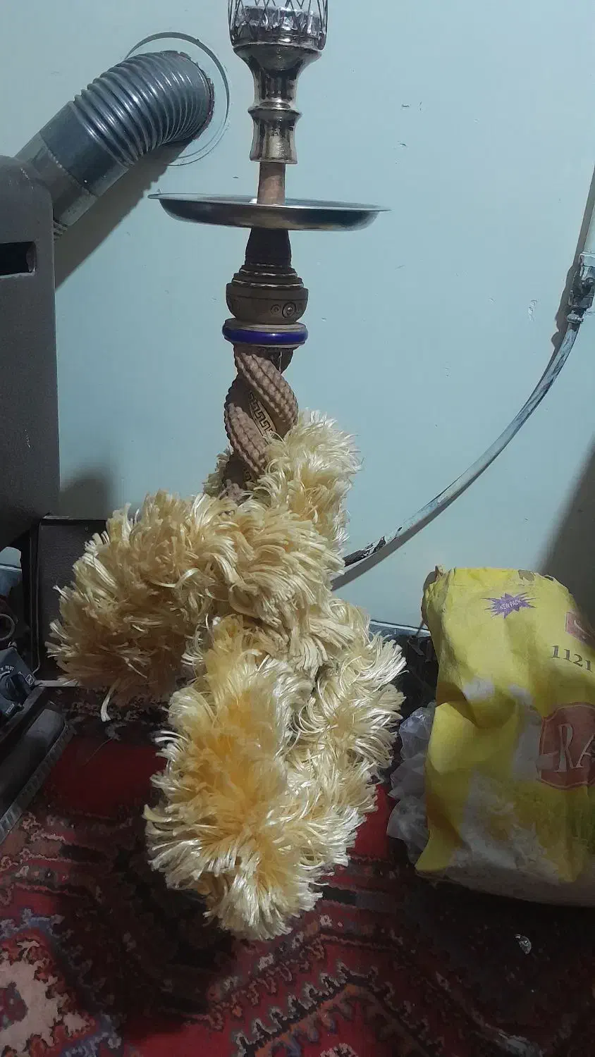 قیلون میوه ای|کلکسیون و سرگرمی|فولادشهر, A4|دیوار