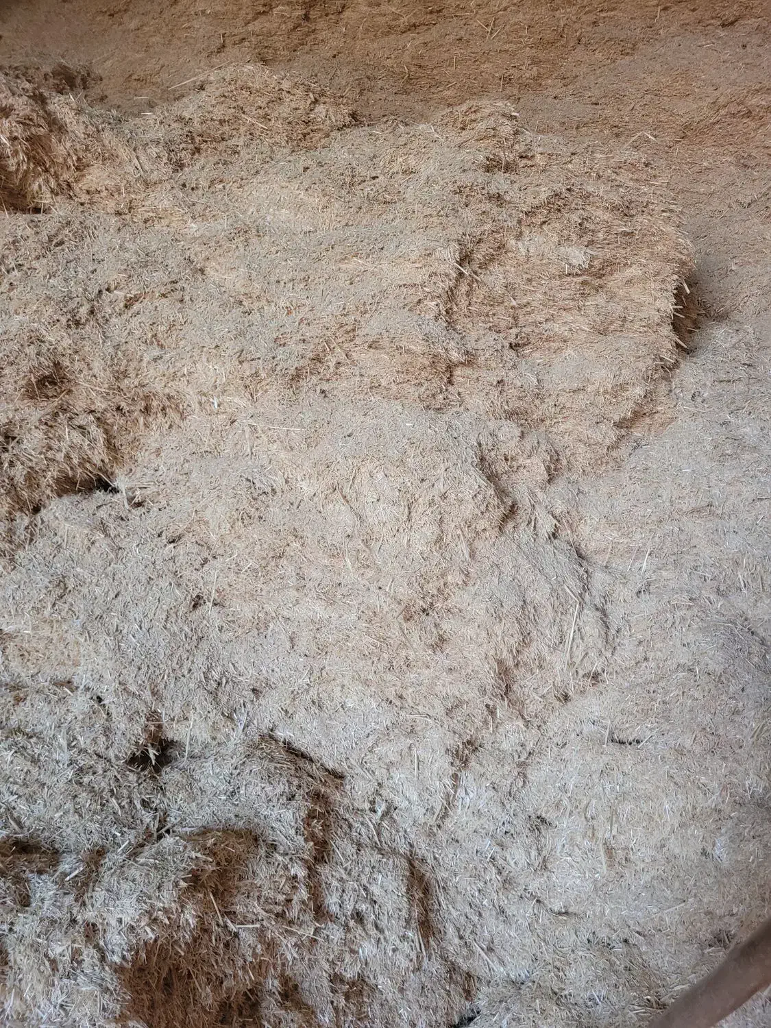 کاه گندم|لوازم جانبی حیوانات|آبکوه, |دیوار