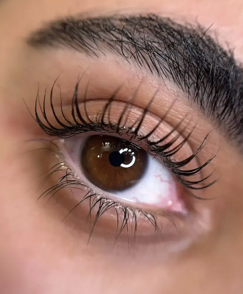 مدل لیفت مژه و ابرو|خدمات آرایشگری و زیبایی|سنندج, |دیوار