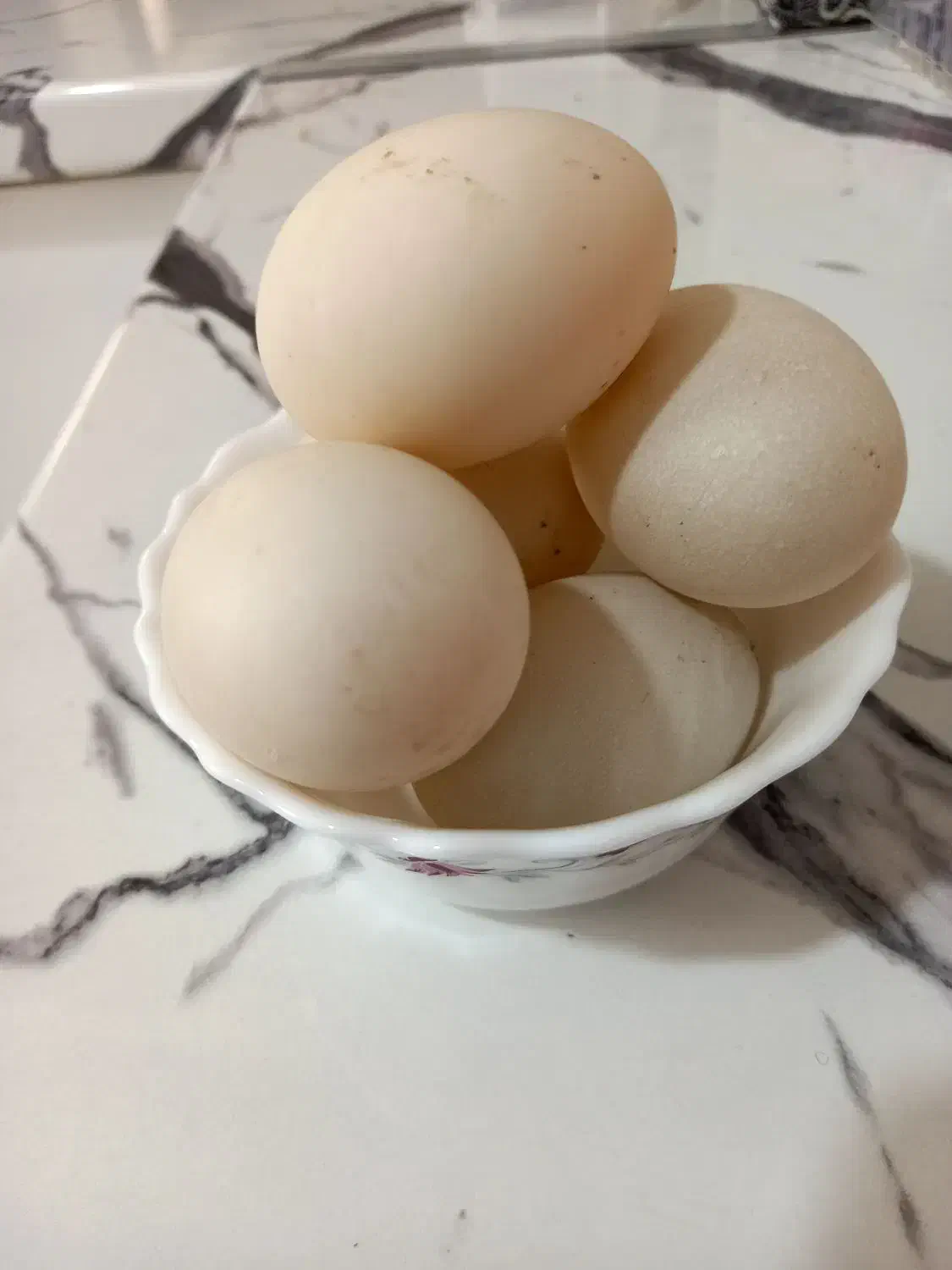 تخم اردک|حیوانات مزرعه|بومهن, |دیوار