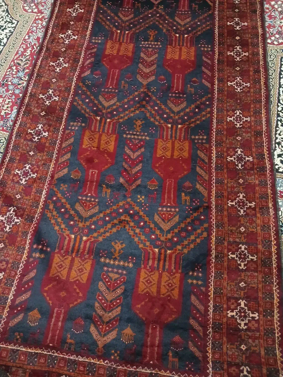 فرش دستبافت اعلائ|فرش|زابل, |دیوار