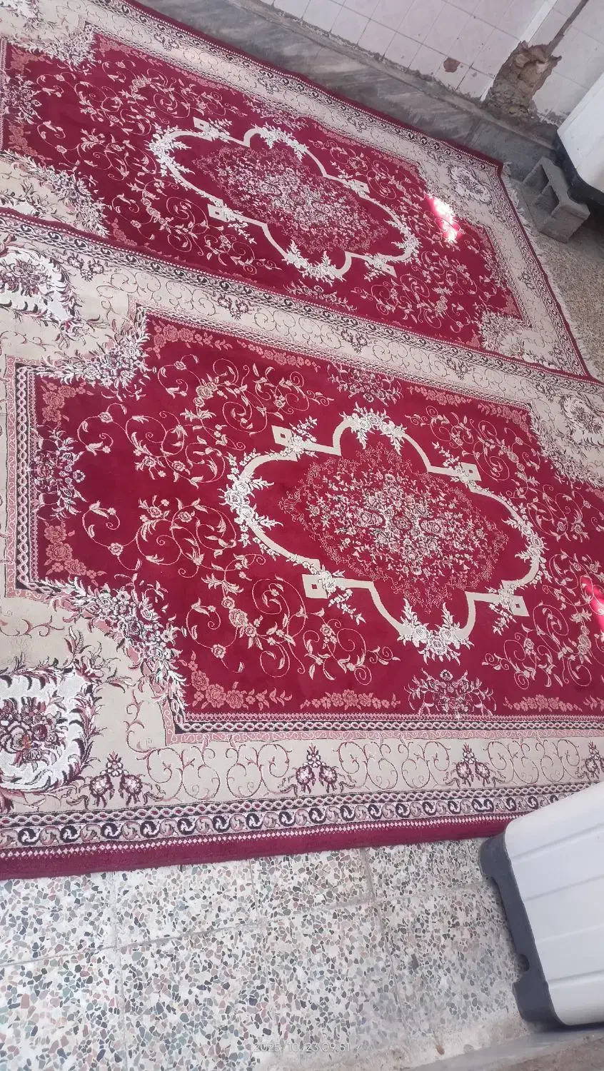 قالی ۶متری نخی|فرش|دزفول, |دیوار