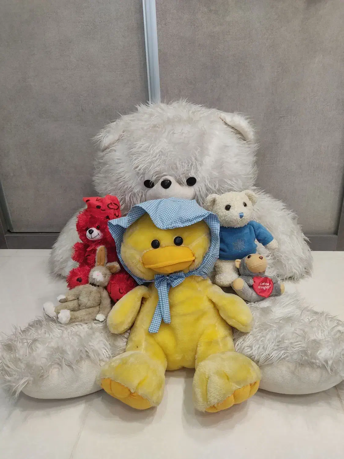 انواع عروسک|اسباب‌‌بازی|ارومیه, |دیوار