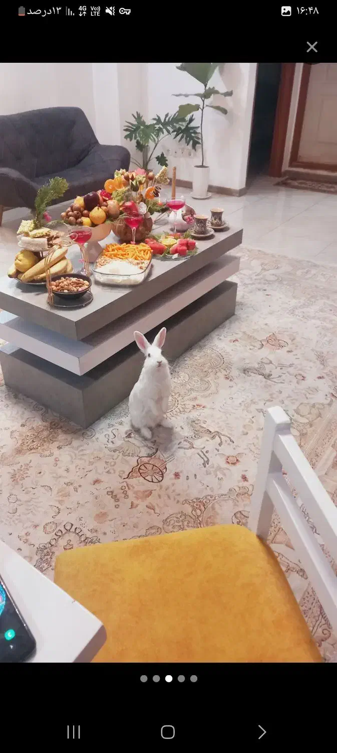 فرش ۹متری کرم طرح هخامنشی جدید|فرش|قائمشهر, |دیوار