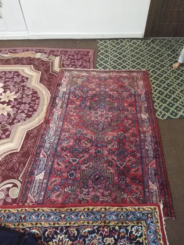 فرش دستبافت قدیمی|فرش|اسدآباد, |دیوار