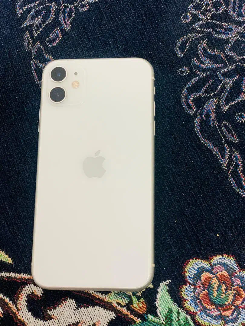 آیفون ۱۱ نرمال|موبایل|بندرعباس, |دیوار