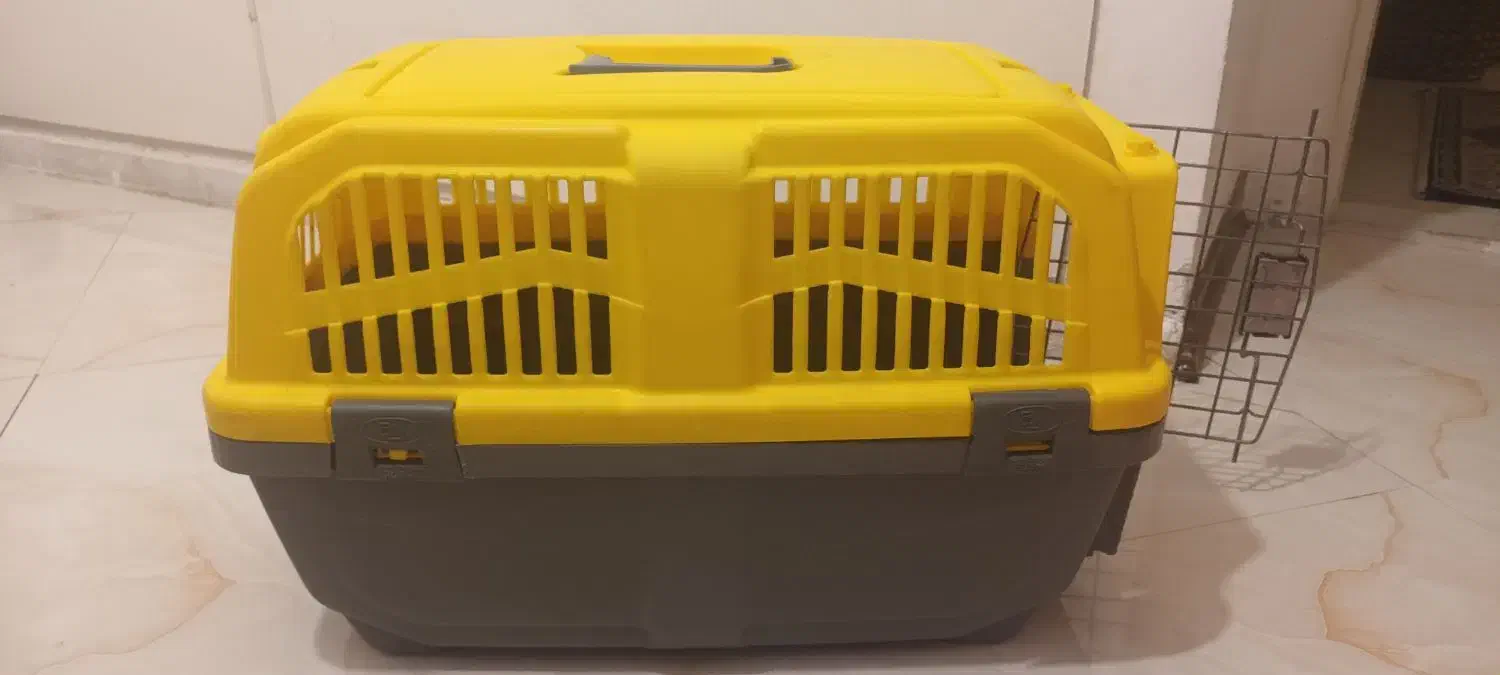 باکس حمل سگ و گربه|لوازم جانبی حیوانات|پردیس, فاز ۱|دیوار