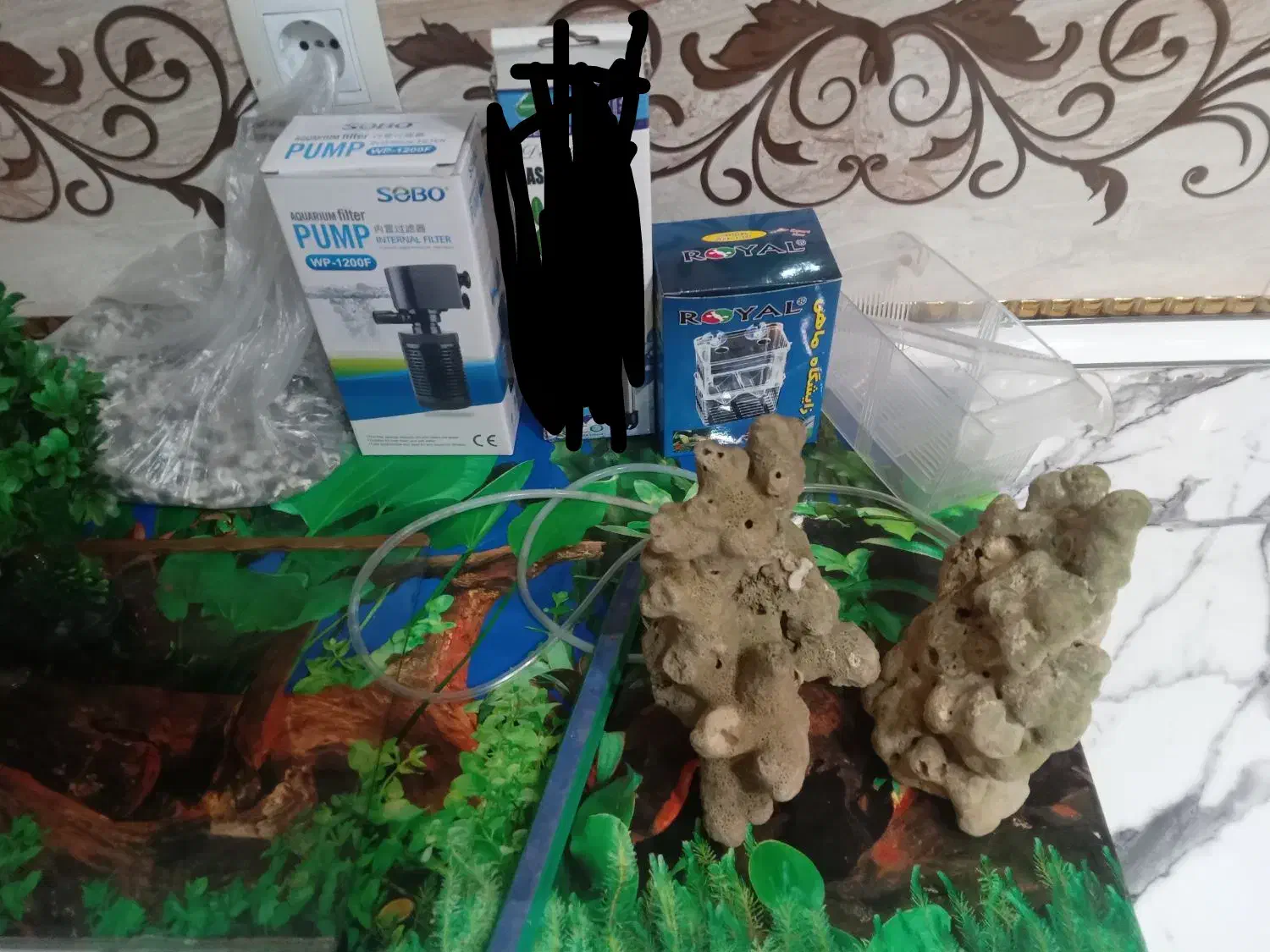 لوازم  اکواریوم|ماهی|رباط‌کریم, نصیرشهر|دیوار