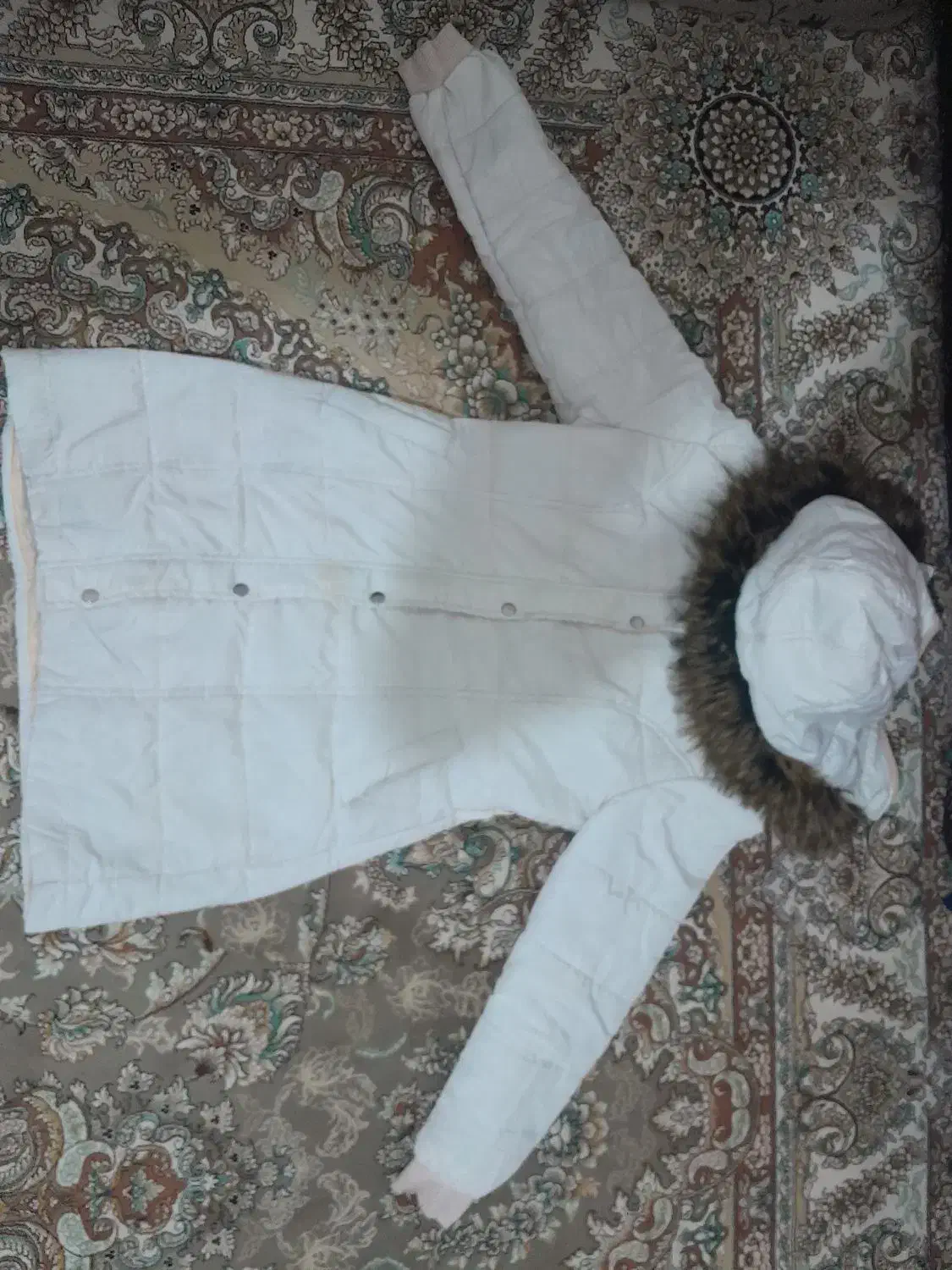 کاپشن نو دخترانه|لباس|زابل, |دیوار