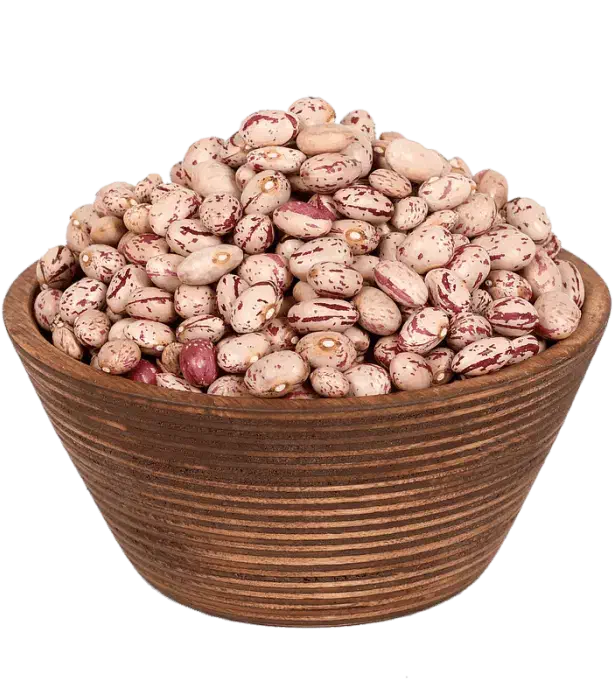 لوبیاچیتیدرجهیک|حراج|شال, |دیوار