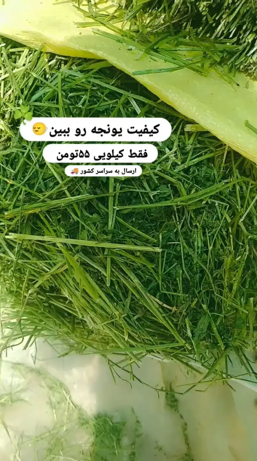 یونجه|لوازم جانبی حیوانات|شهرضا, |دیوار