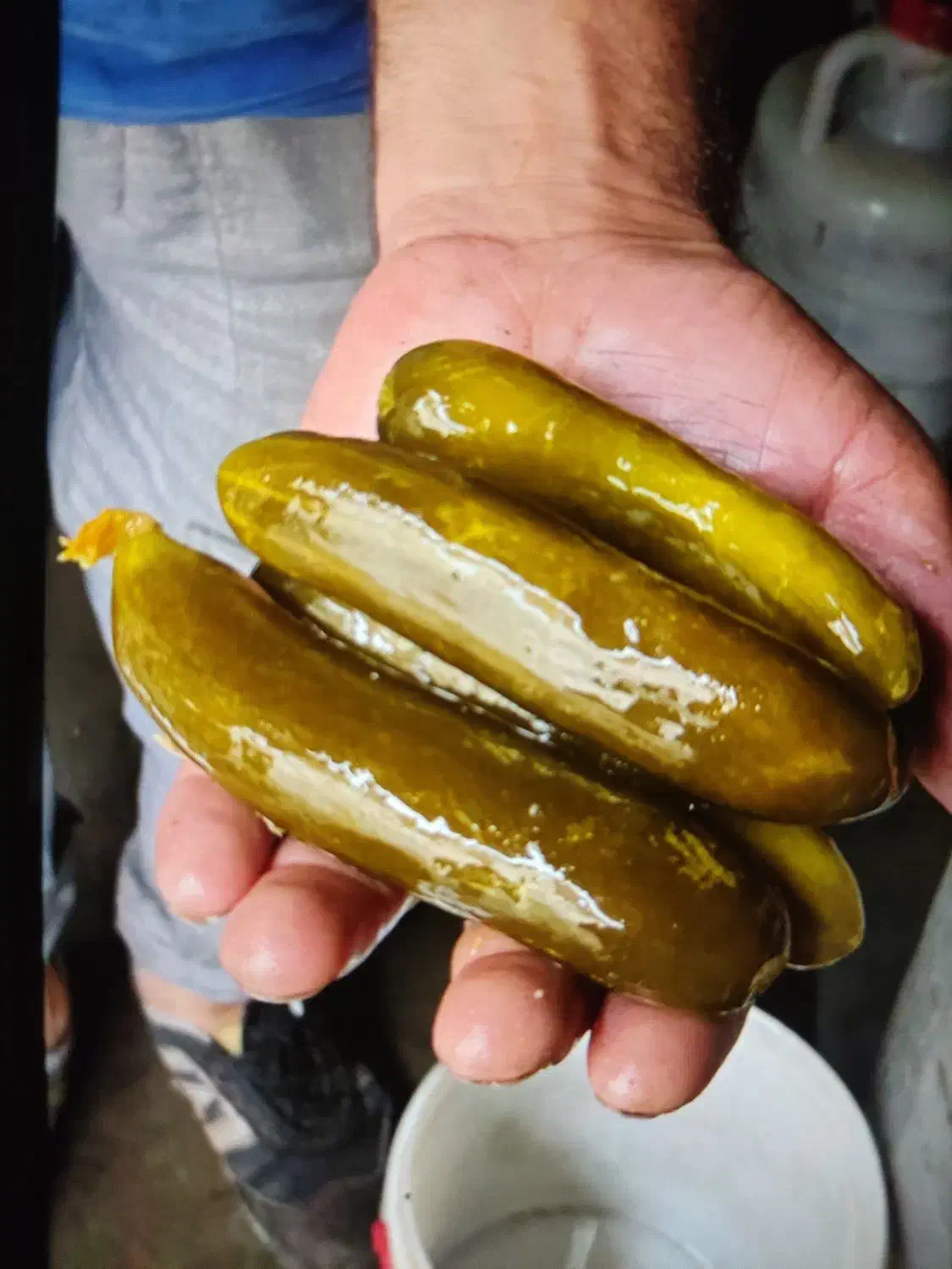 فروش عمده ترشی خیارشور آب معدنی سرکه سیب کارخانه|خوردنی و آشامیدنی|رشت, چله خانه|دیوار