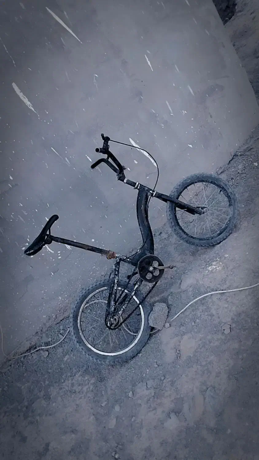 دوچرخه|دوچرخه، اسکیت، اسکوتر|پاپی, |دیوار