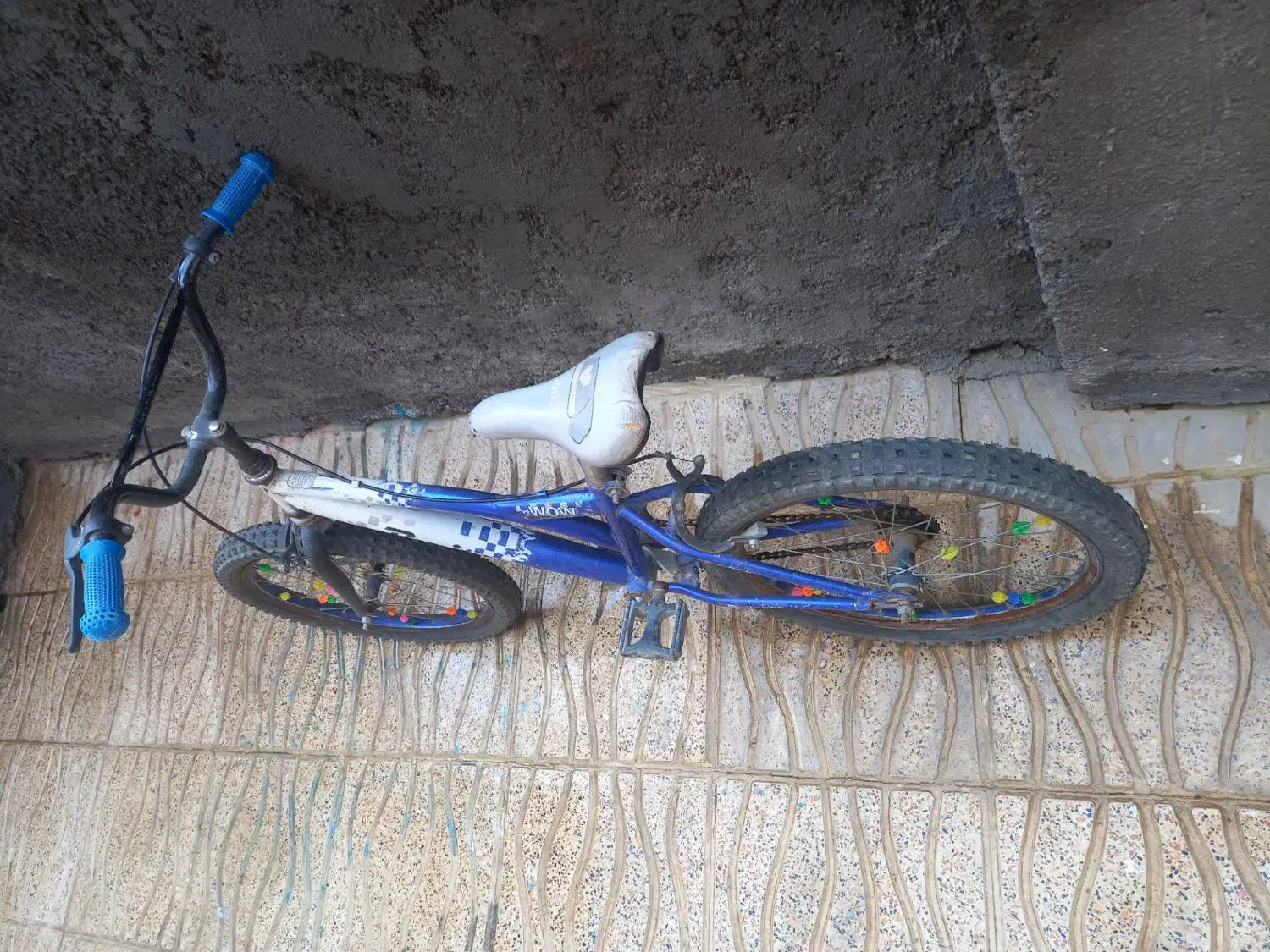 دوچرخه ۲۰|دوچرخه، اسکیت، اسکوتر|مریوان, |دیوار