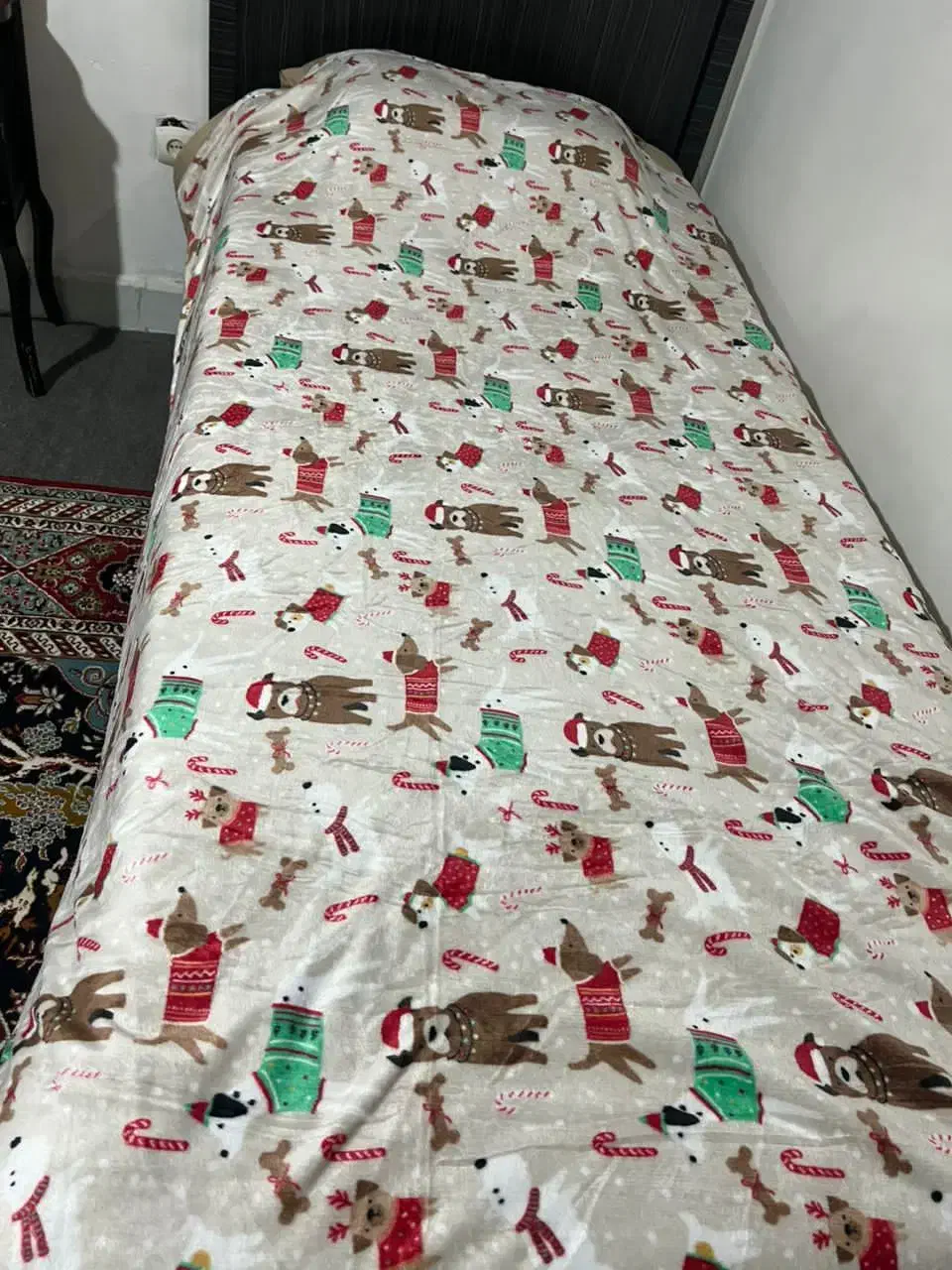 پتوهای مسافرتی دو نفره و تک نفره|رختخواب، بالش، پتو|شیراز, شهرک صدا و سیما|دیوار