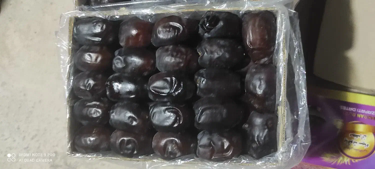 خرما کتابی درجه یک|خوردنی و آشامیدنی|سیب و سوران, |دیوار