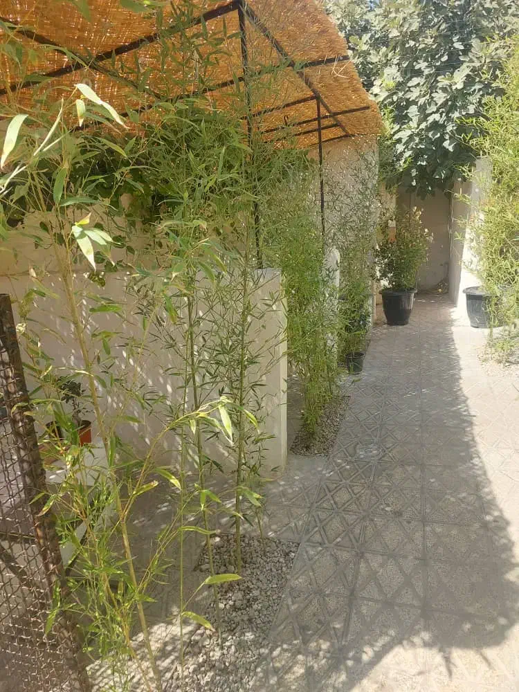 فروش کامل کافه فست فود|فروش مغازه و غرفه|مرودشت, مسجد رسول‎|دیوار