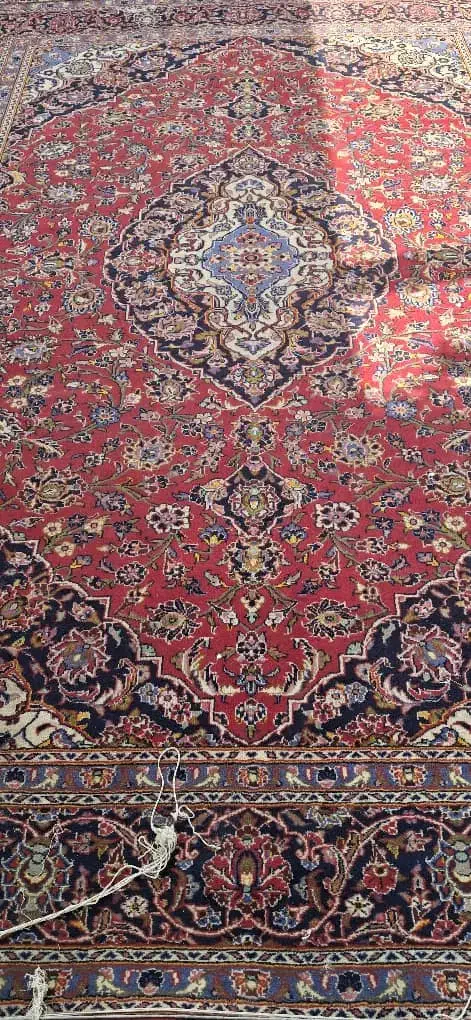 فرش دستباف|فرش|شیراز, اصلاح‌نژاد|دیوار