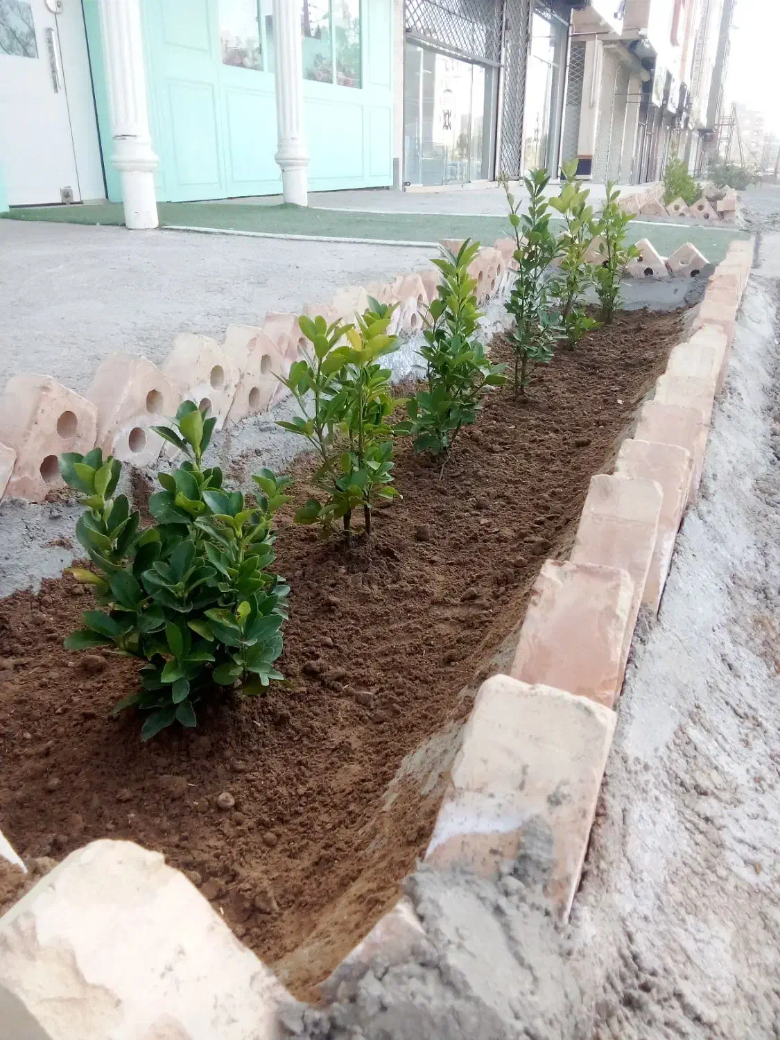 اجرای باغچه کاری و فضای سبز|خدمات باغبانی و درختکاری|بیرجند, |دیوار