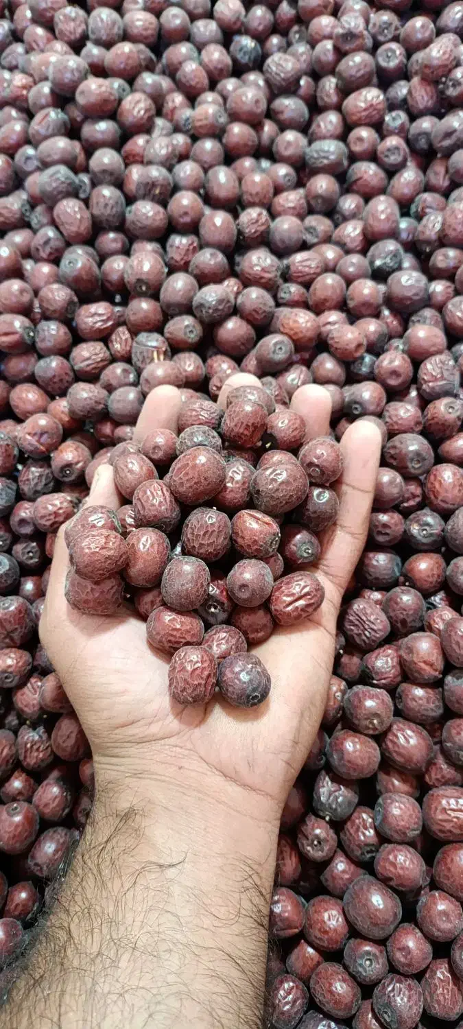 عناب سیوجان از تولید به مصرف|خوردنی و آشامیدنی|خوسف, |دیوار